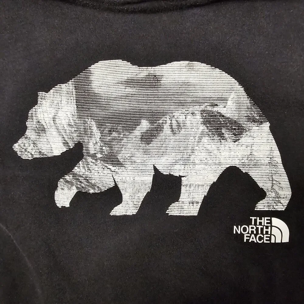 The North Face Bear Hoodie Mens Small Gorpcore Preppy Casual Hiking Camping Y2K